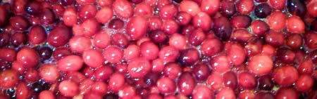 Cranberries!