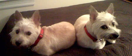 Rowan and Harper Post-Nap
